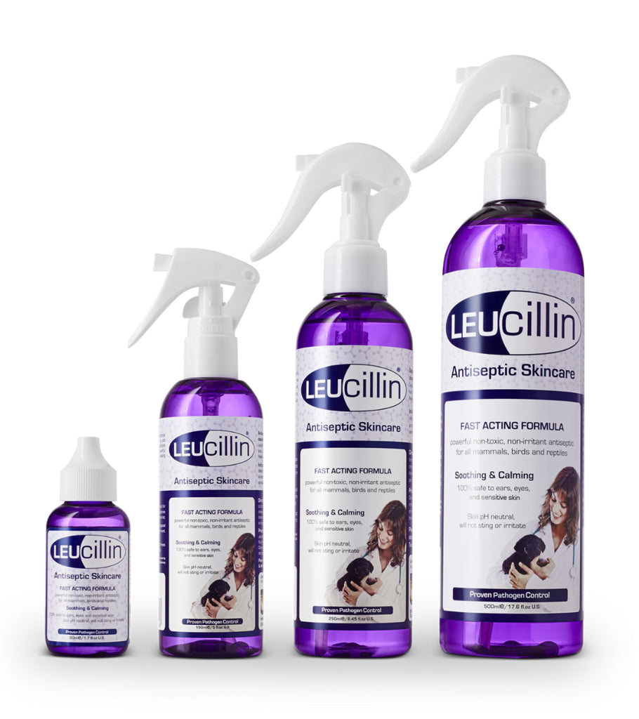 Leucillin - Antiseptic Skin Care for all animals