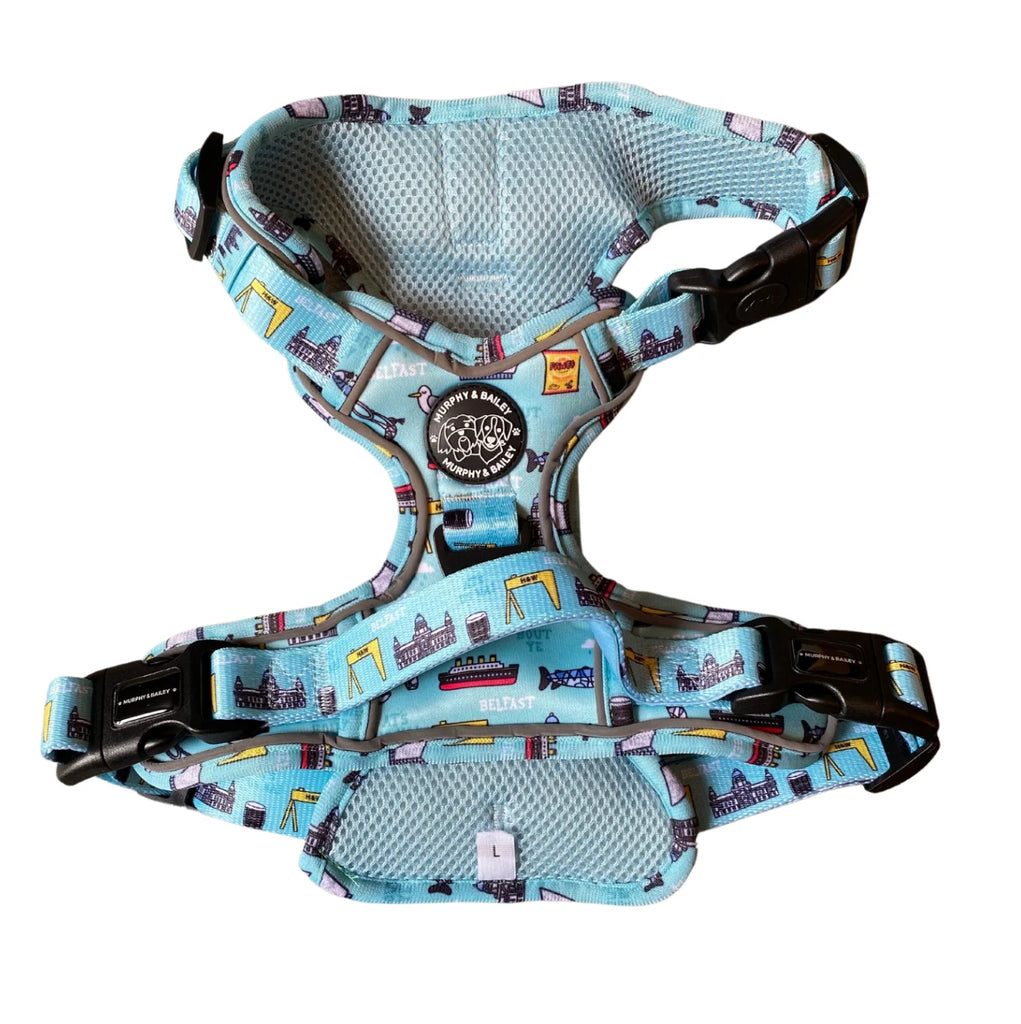 Explore Harness - BLUE- Mutts about Belfast