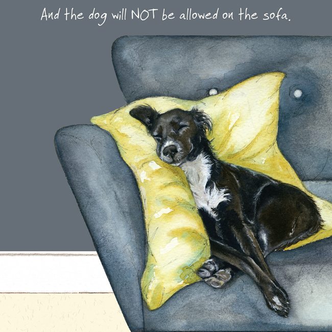 Rescue Dog Greeting Card - Sofa