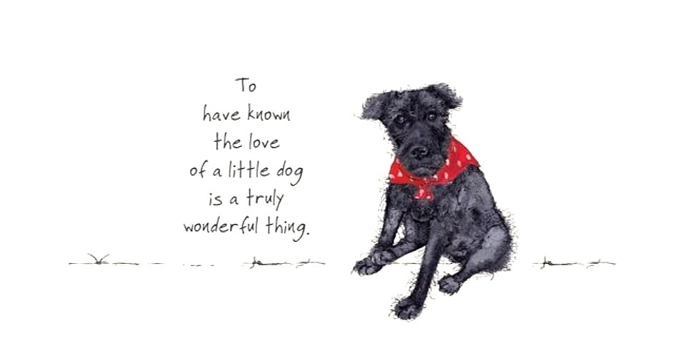 Patterdale Terrier Card - Little Dog