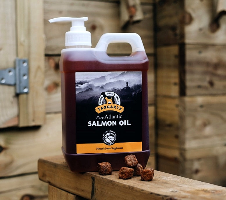 Taggarts Salmon Oil (Click & Collect only)