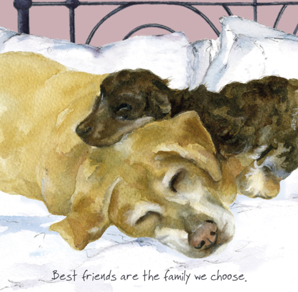 Dog Greeting Card - Best friends are the family we choose.