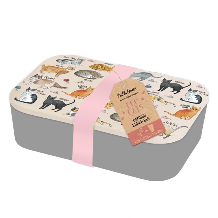 Curious Cats Bamboo Lunchbox