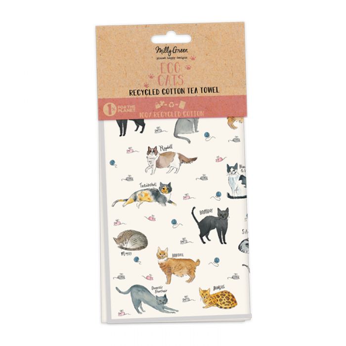 Curious Cats - Set of 2 Tea Towels