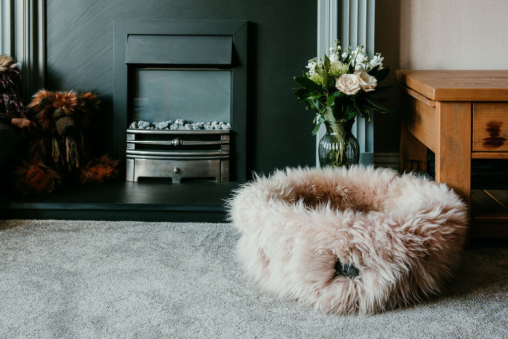Why sheepskin is perfect for your pets bed ...