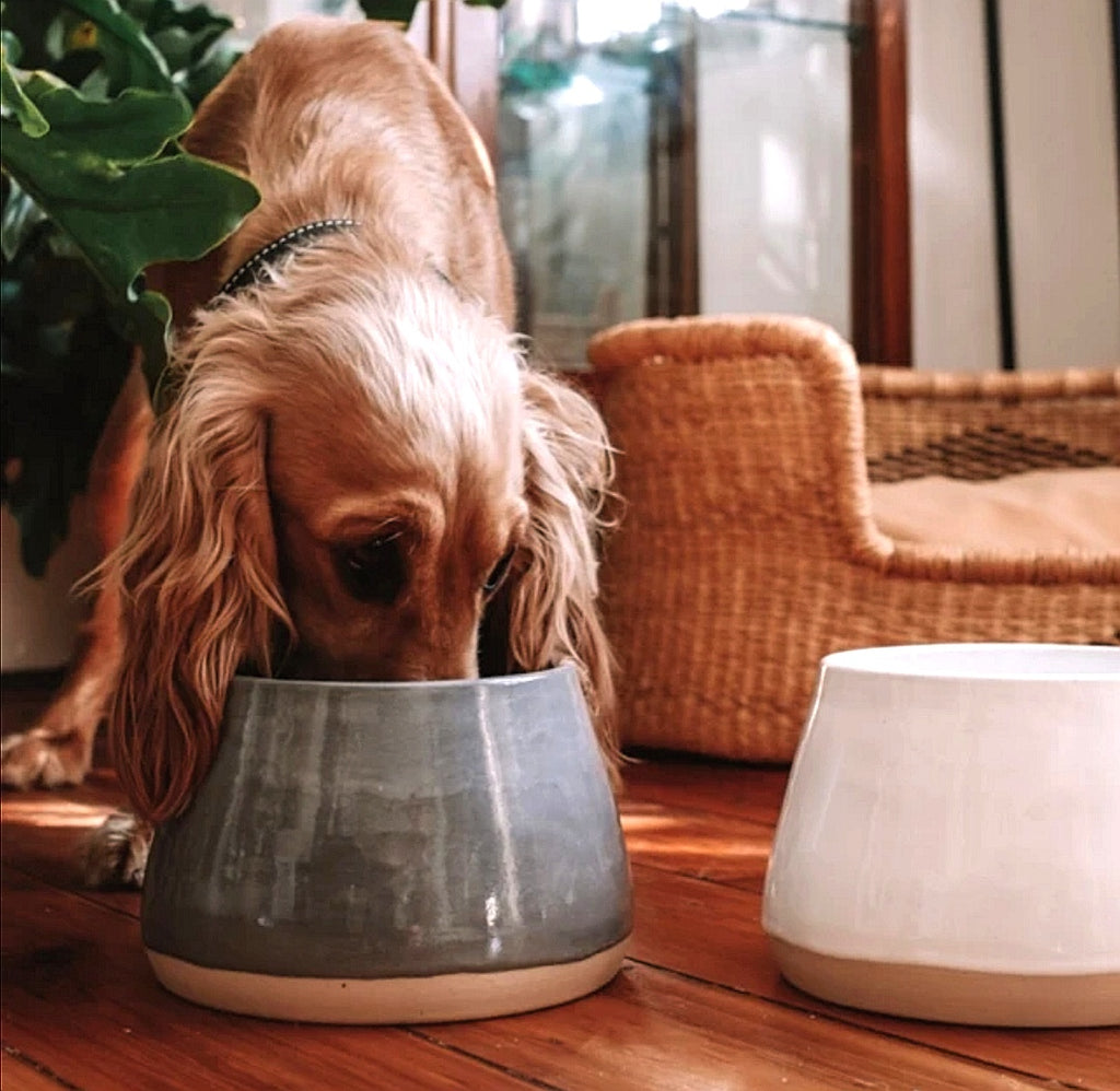 Chewy Vuiton Chic: Parody Designer Dog Bowl Mats for Stylish Pups