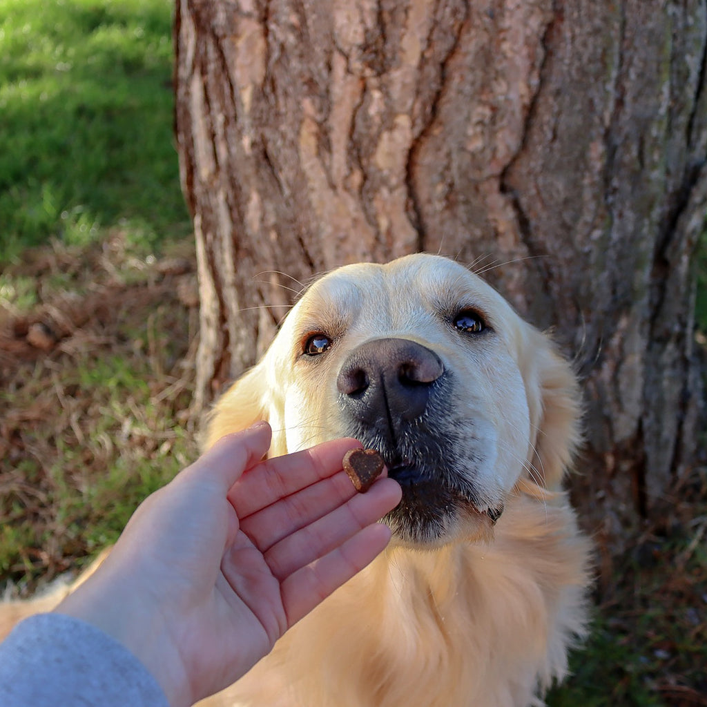 Luv Hearts Chicken Liver Treats