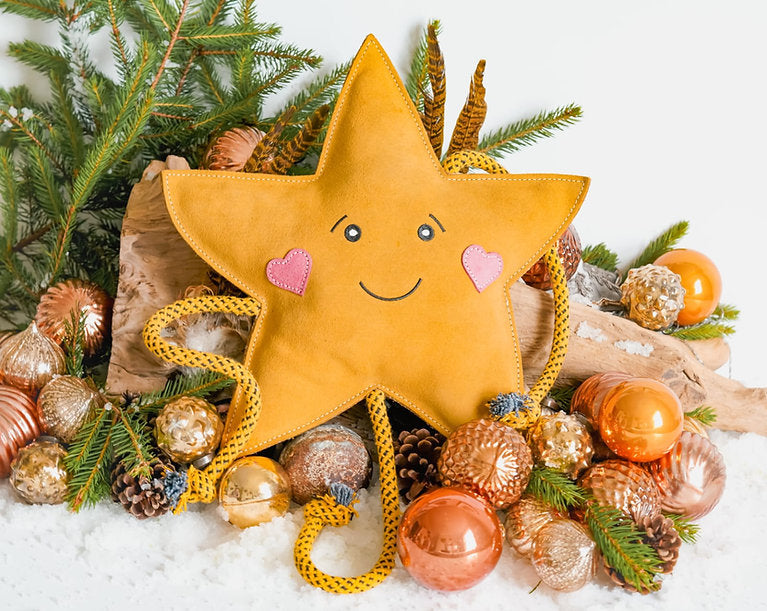 Aurora Paws Christmas