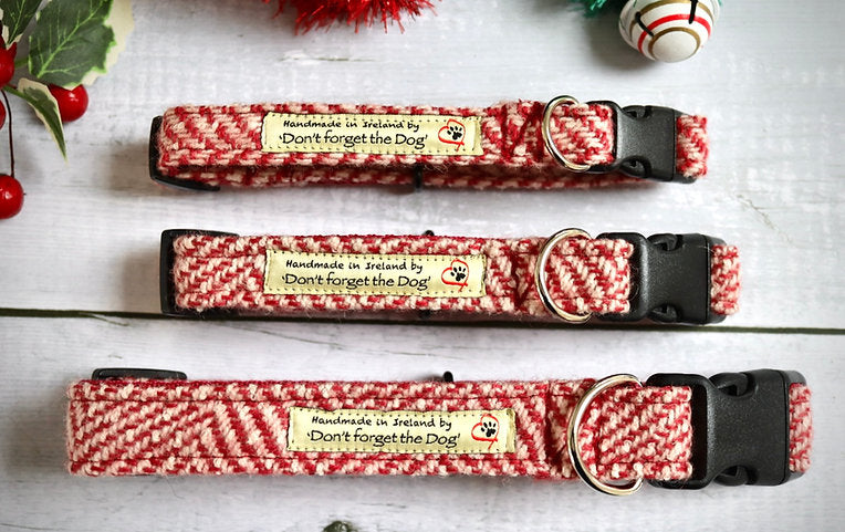 Don’t Forget the Dog - Cane Candy Tweed Dog Collar