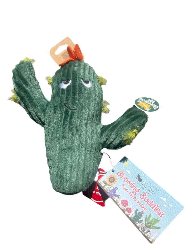 Blooming Buddies Cactus
