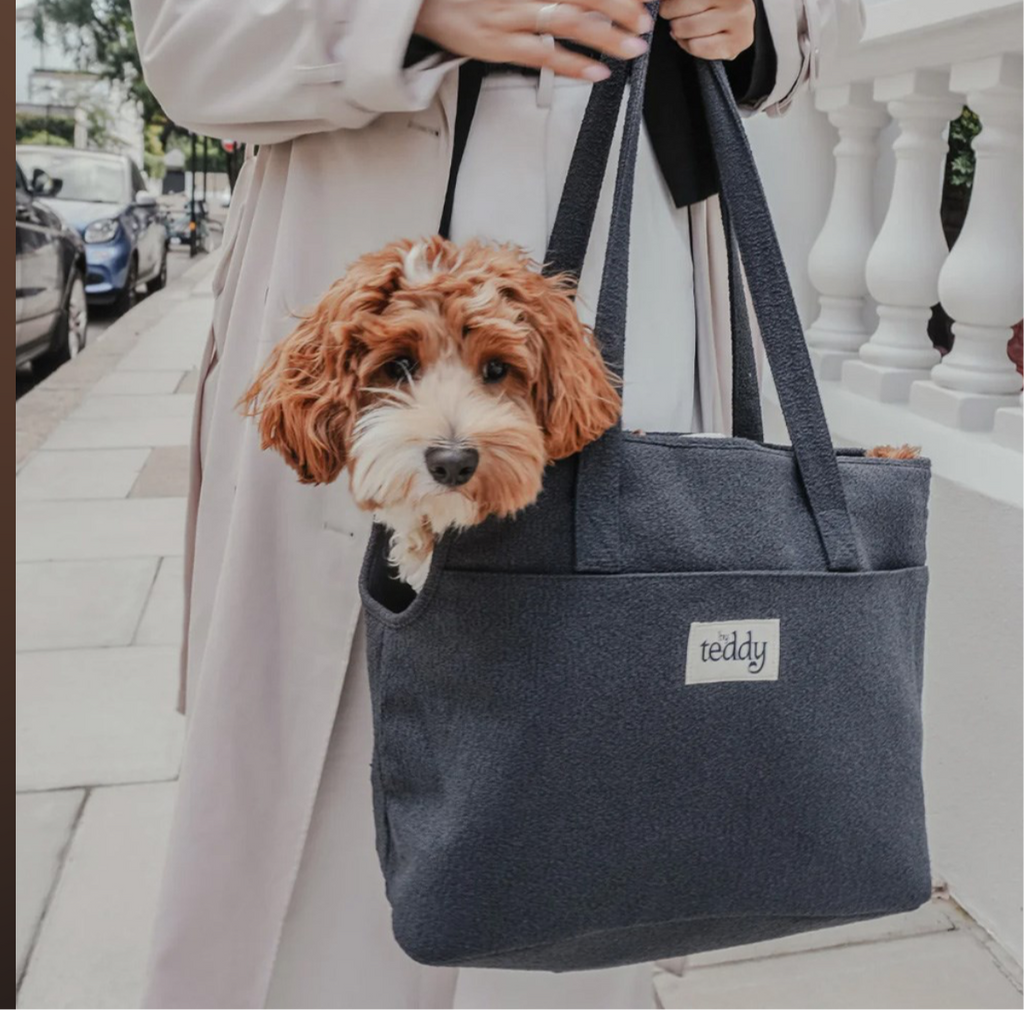 Dog Carrier Teddy Bouclé