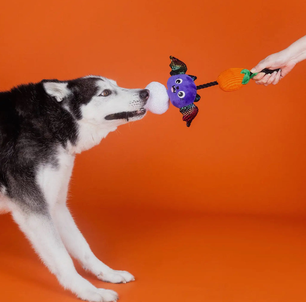 Spooky Creatures - “Literally Dead Cute”