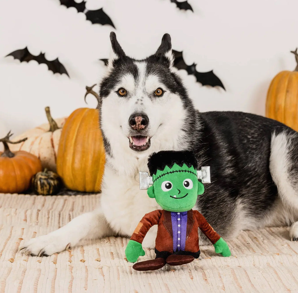 Spooky Creatures - Frankenstein