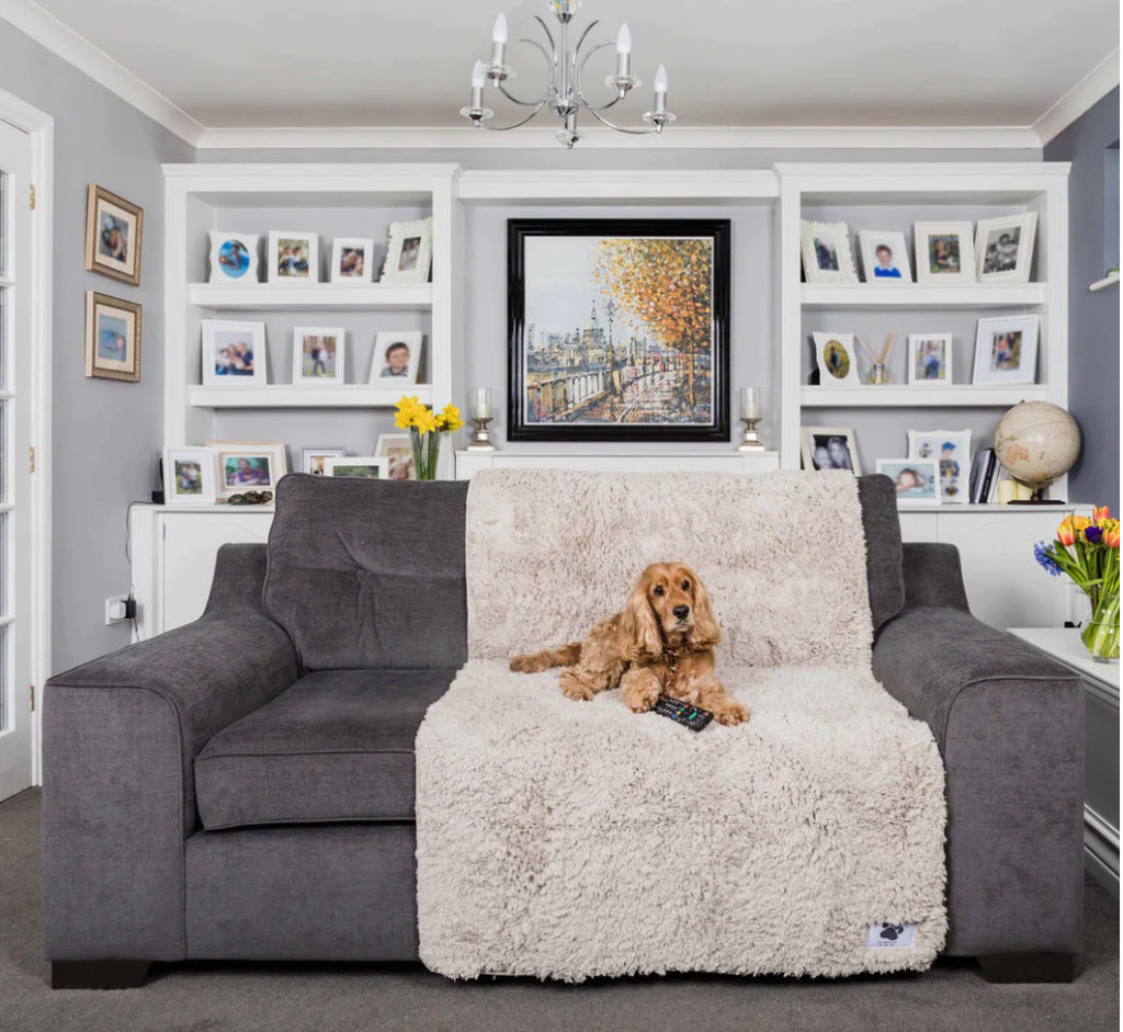 Comfy cover sofa (Pet Rebellion)