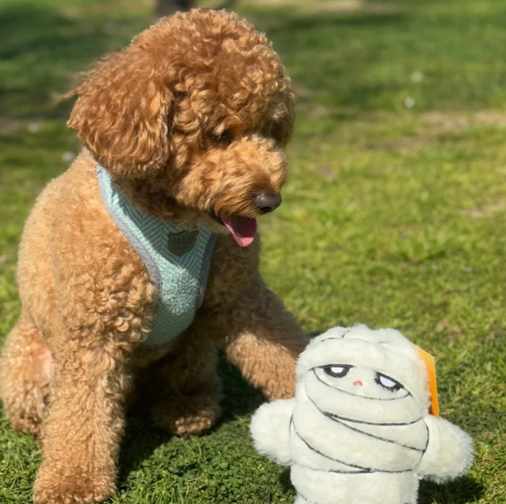 Biggest Fang Toy (squeaky)