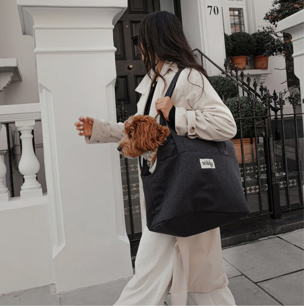 Dog Carrier Teddy Bouclé