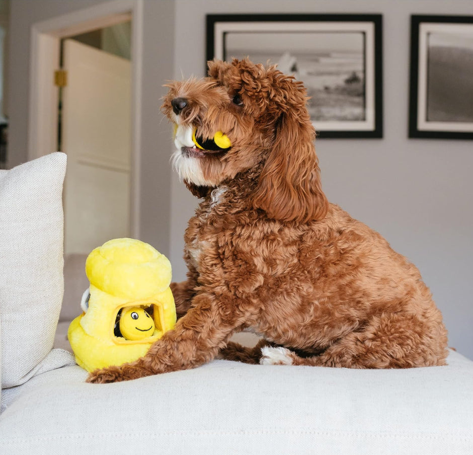 Does anyone have a recommendation for mentally stimulating toys that don't  require food? : r/poodles