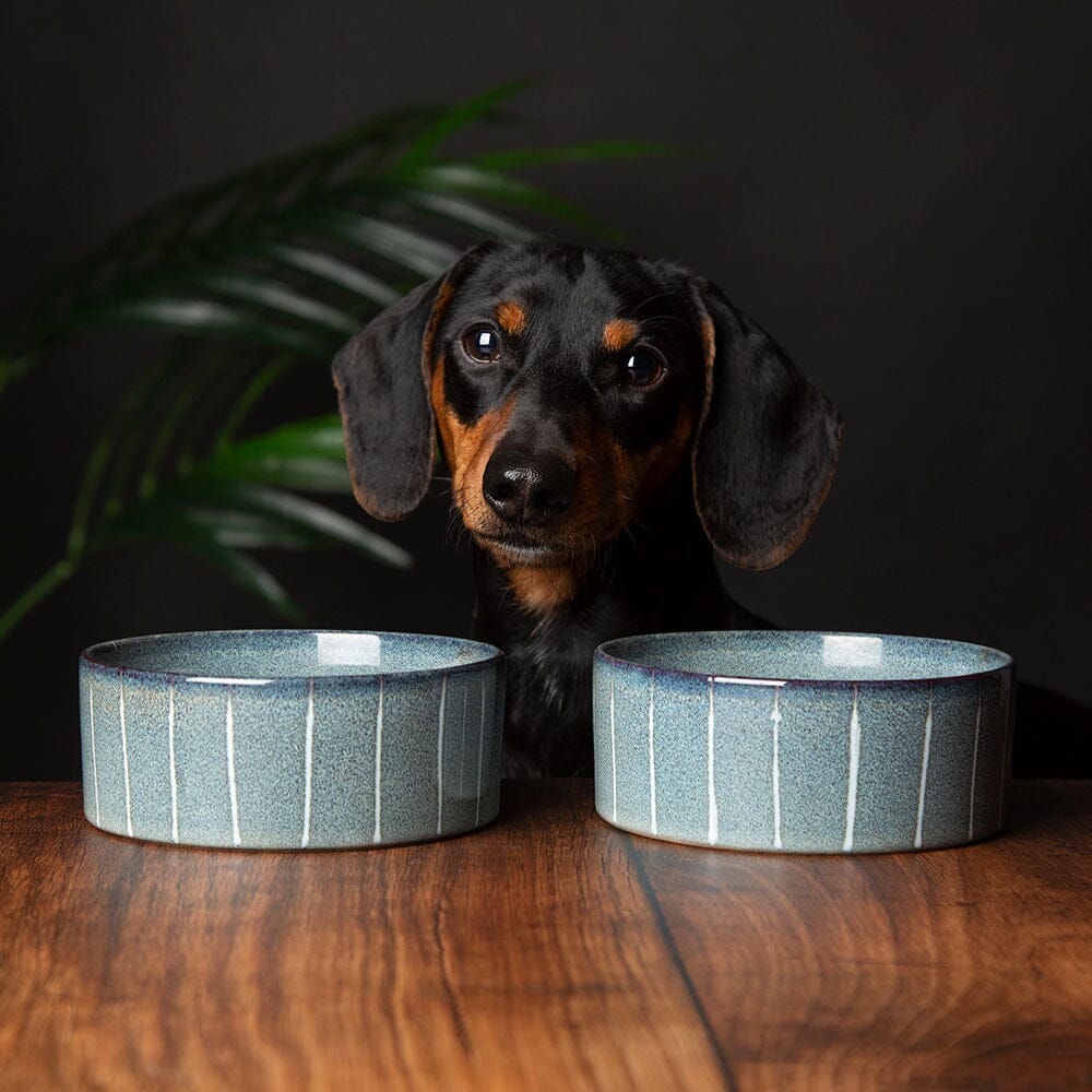 Scruffs Reactive Glaze Pet Food Bowl