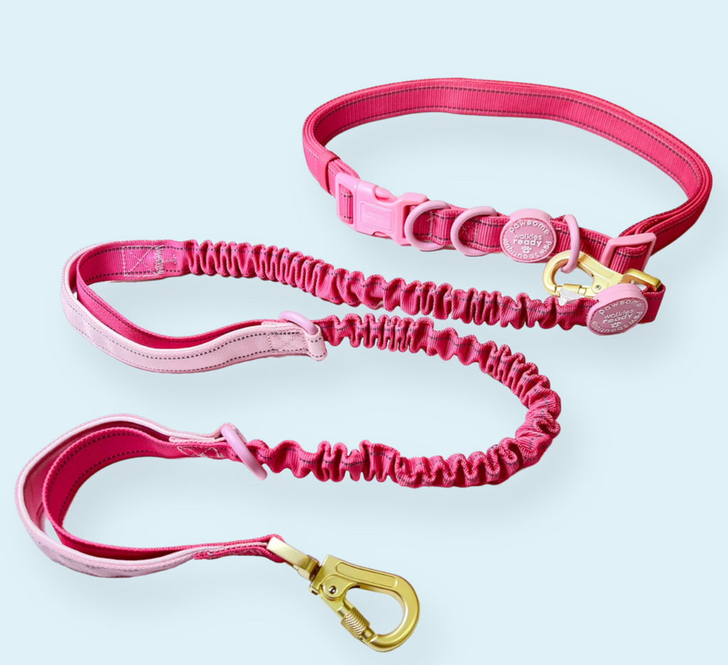 Hands Free Lead - Pawsome Paws Boutique