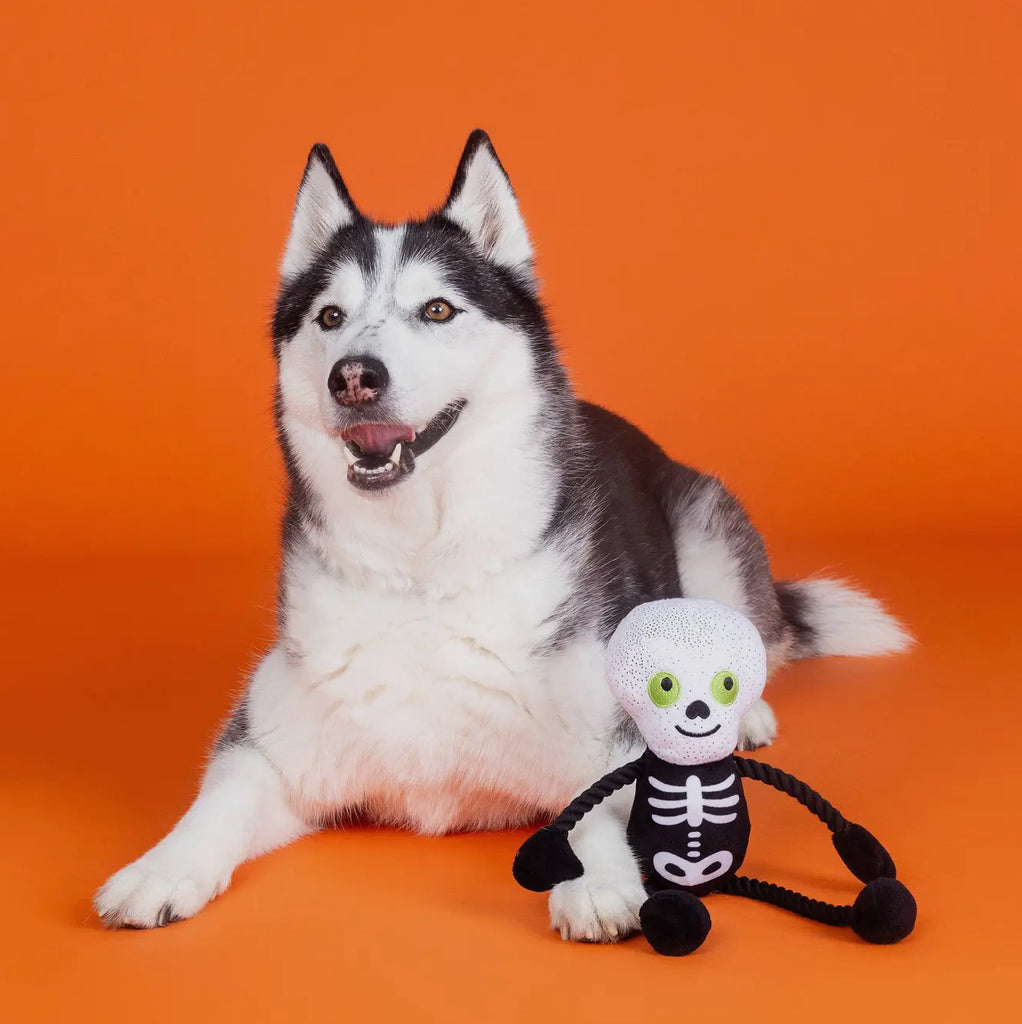 Spooky Creatures - “Got a Bone to Pick?”