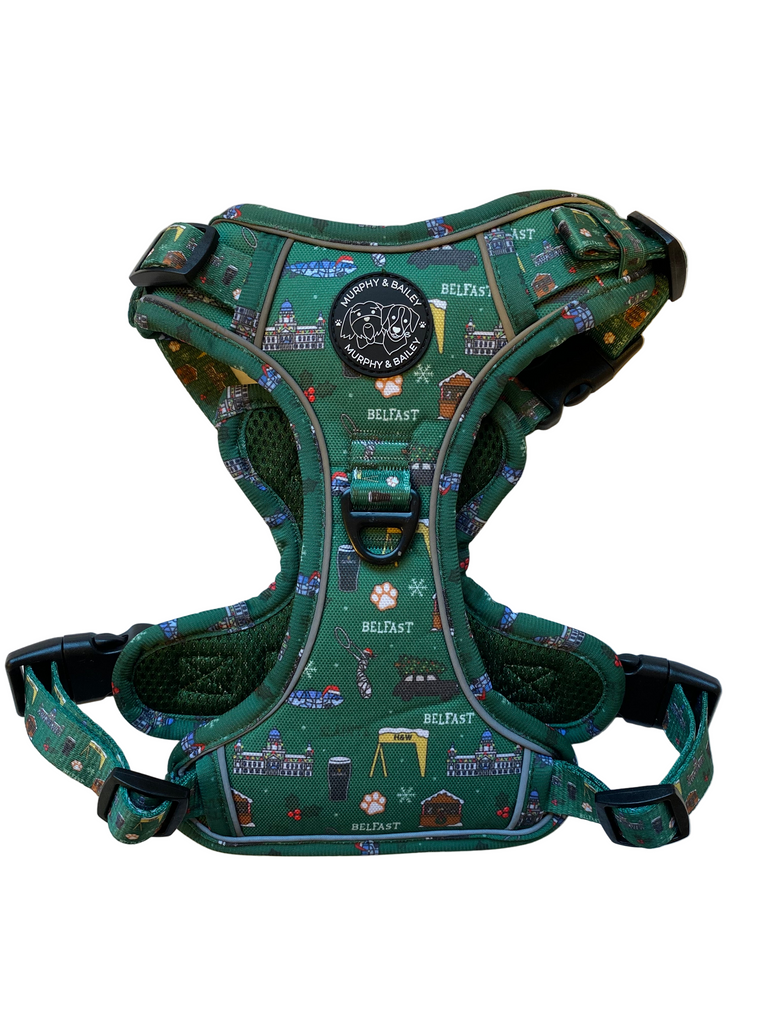 Murphy & Bailey Explore Harness - Christmas in Belfast