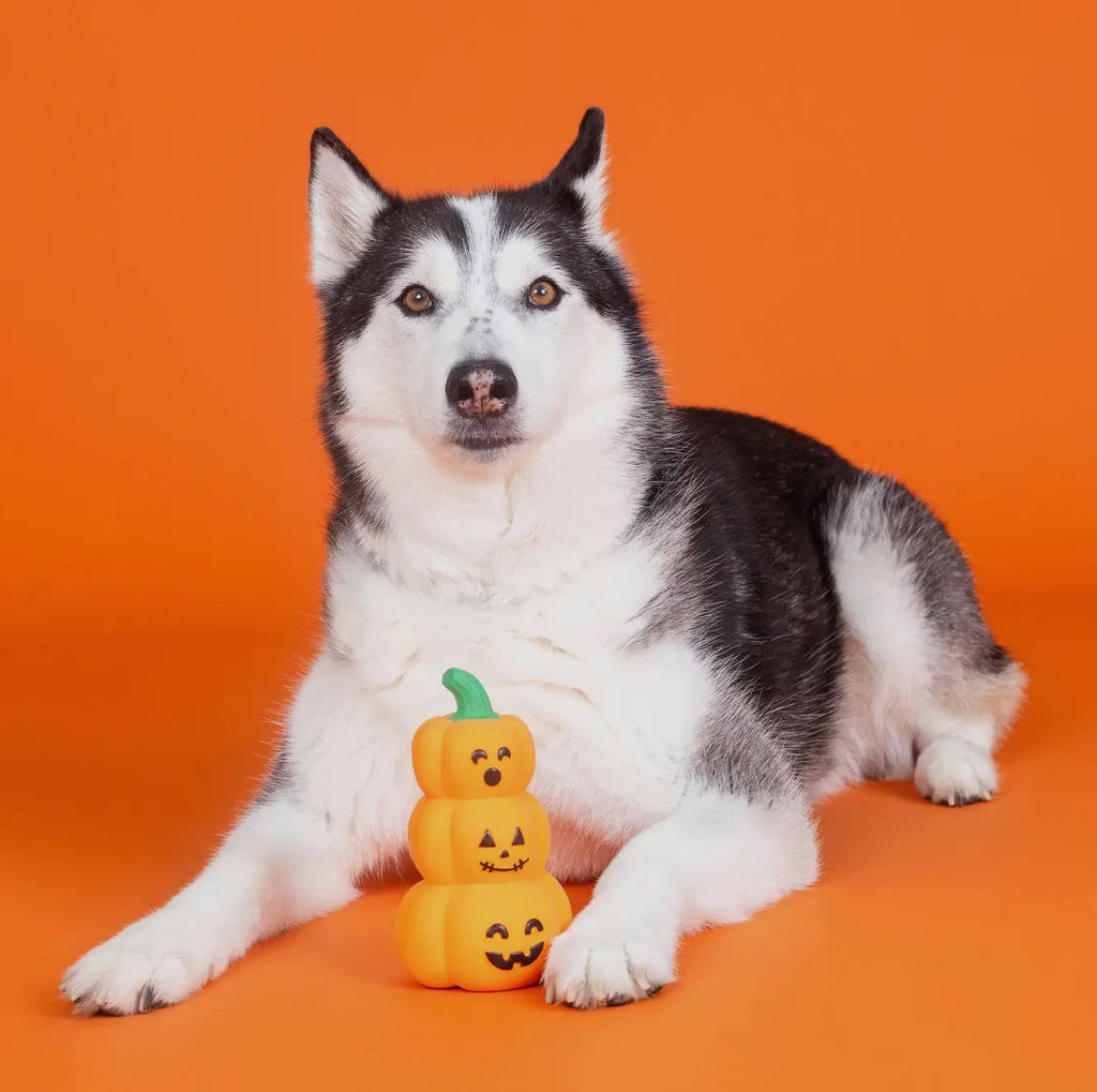 Squeak Boutique - “Go Big or Gourd Home”