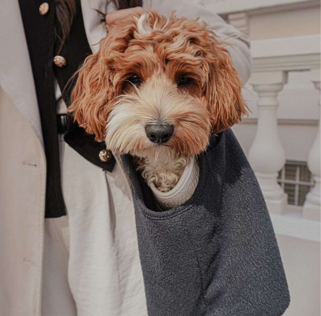 Dog Carrier Teddy Bouclé