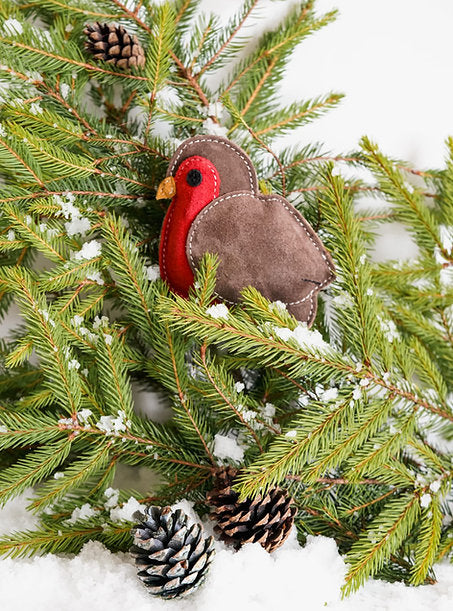 Aurora Paws Christmas