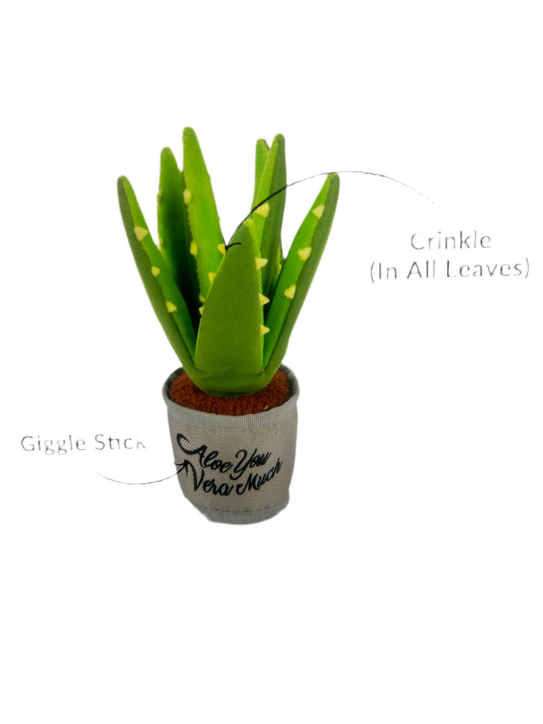 Blooming Buddies Aloe you vera much