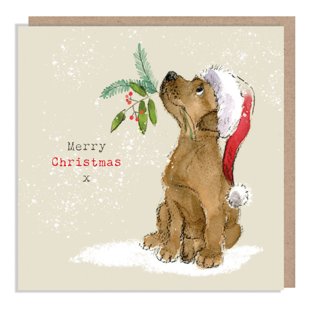 Absolutely Barking Christmas Cards