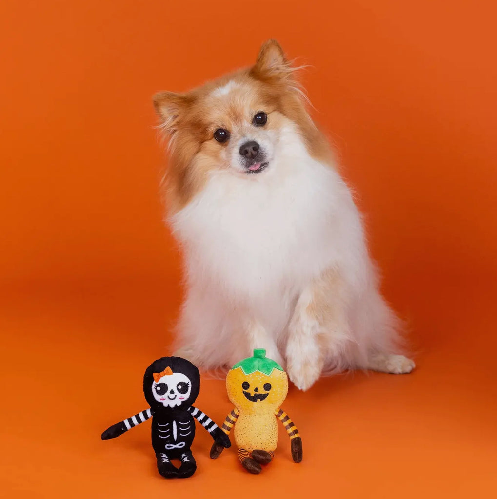 Spooky Creatures - “Oh My Gourd”