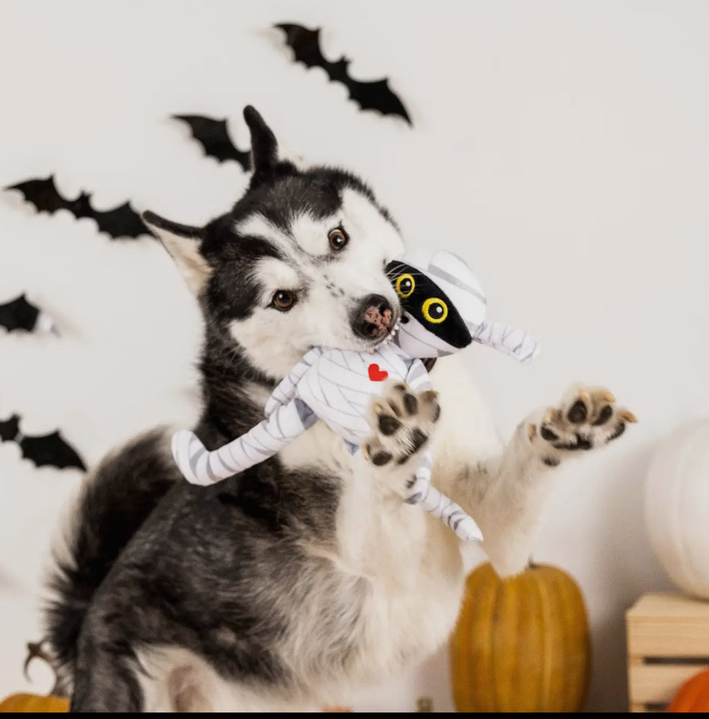 Spooky Creatures - “Oh My Gauze”