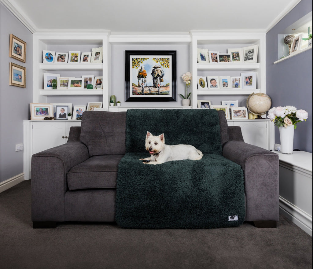 Comfy cover sofa (Pet Rebellion)