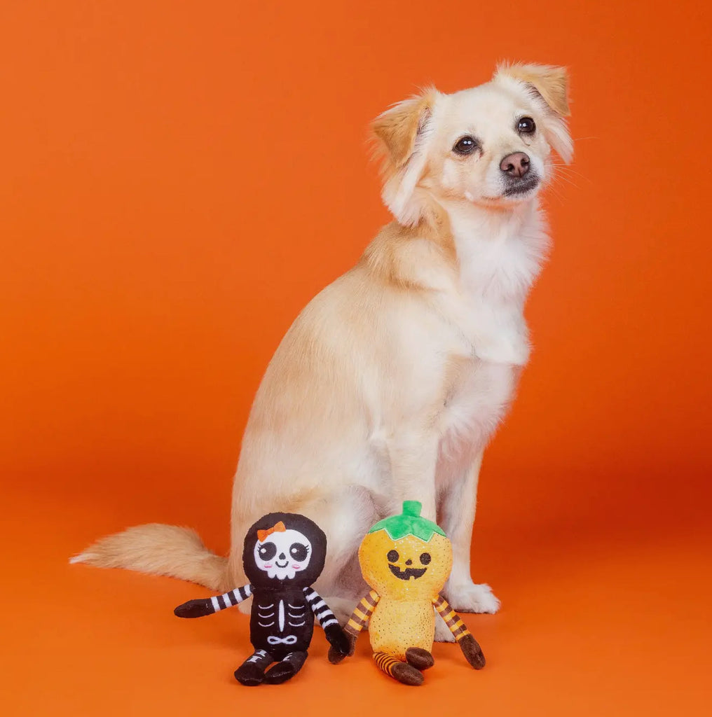 Spooky Creatures - “Oh My Gourd”