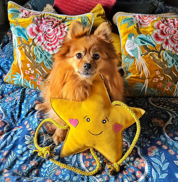 Aurora Paws Christmas