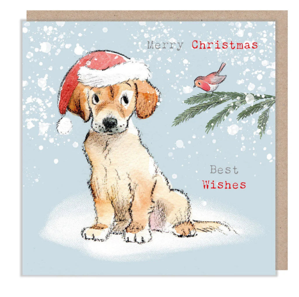 Absolutely Barking Christmas Cards