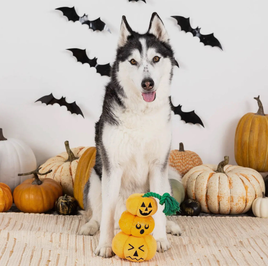Spooky Creatures - Stack O’ Lantern