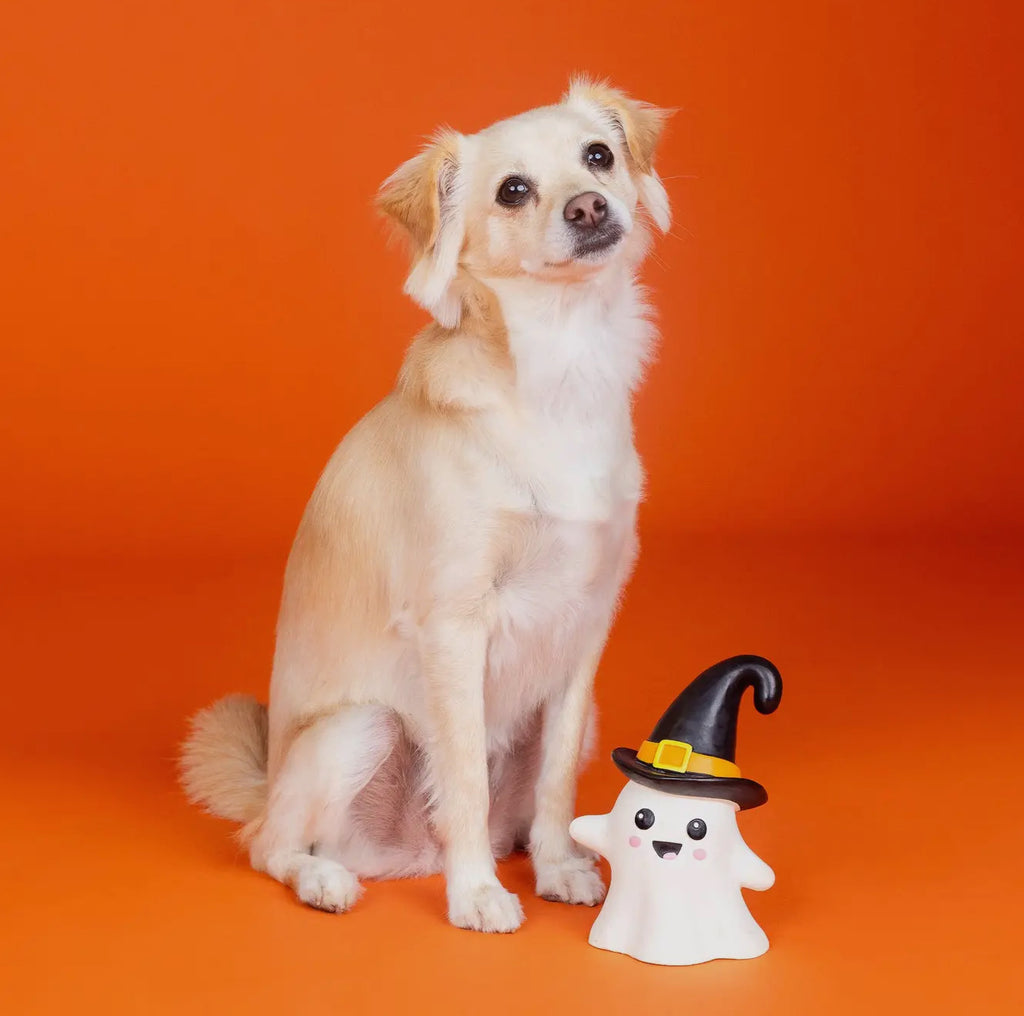 Squeak Boutique - “One Wicked Ghost”
