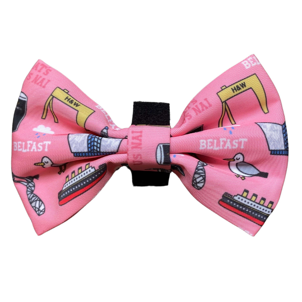 Murphy & Bailey Bow Tie - PINK - Mutts about Belfast