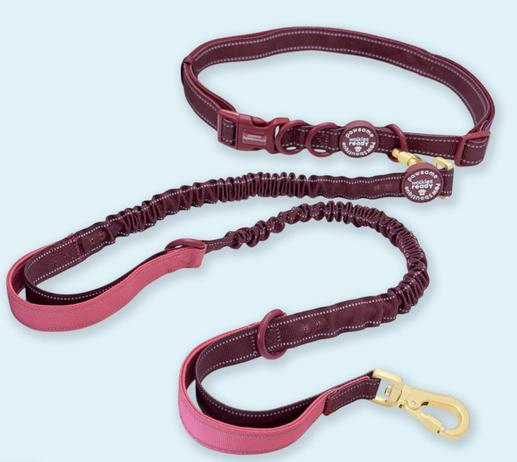 Hands Free Lead - Pawsome Paws Boutique