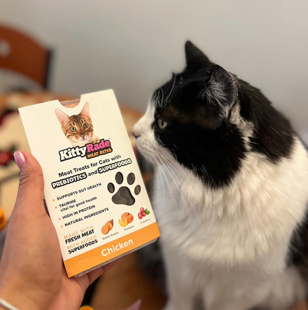 Kittyrade Meat Snacks