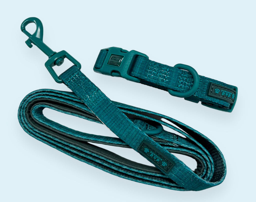 Puppy Collar & Lead Set - Pawsome Paws Boutique