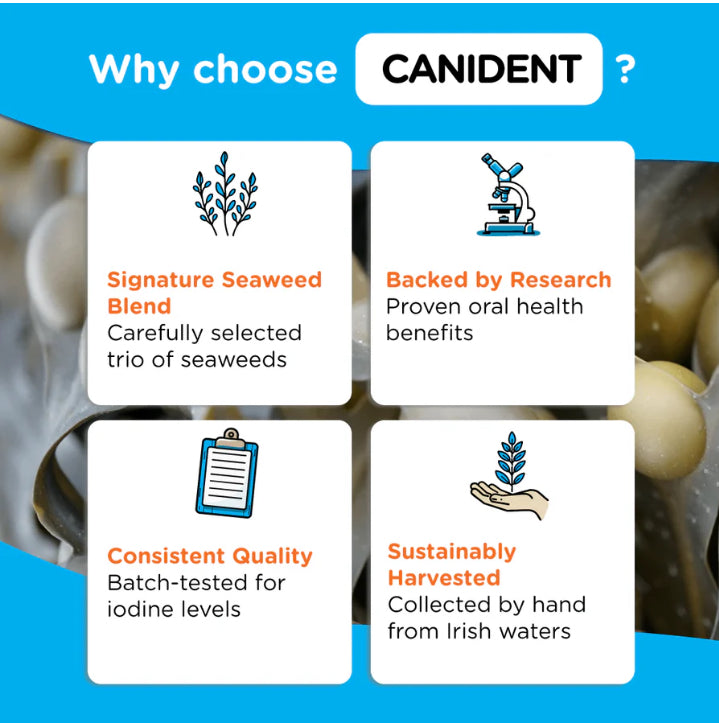 Canident 300g