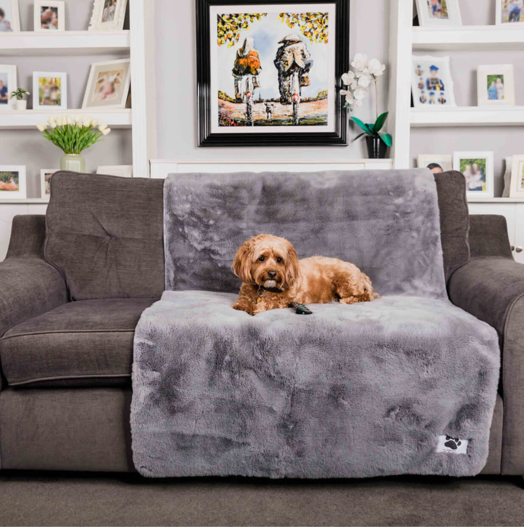 Comfy cover sofa (Pet Rebellion)