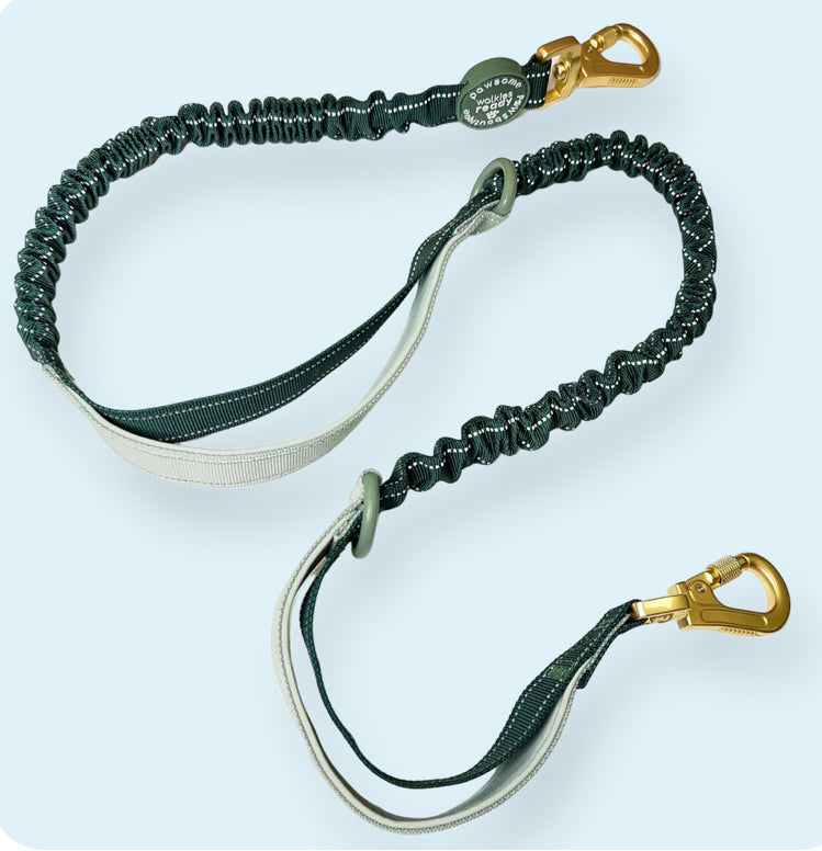 Hands Free Lead addition - Pawsome Paws Boutique