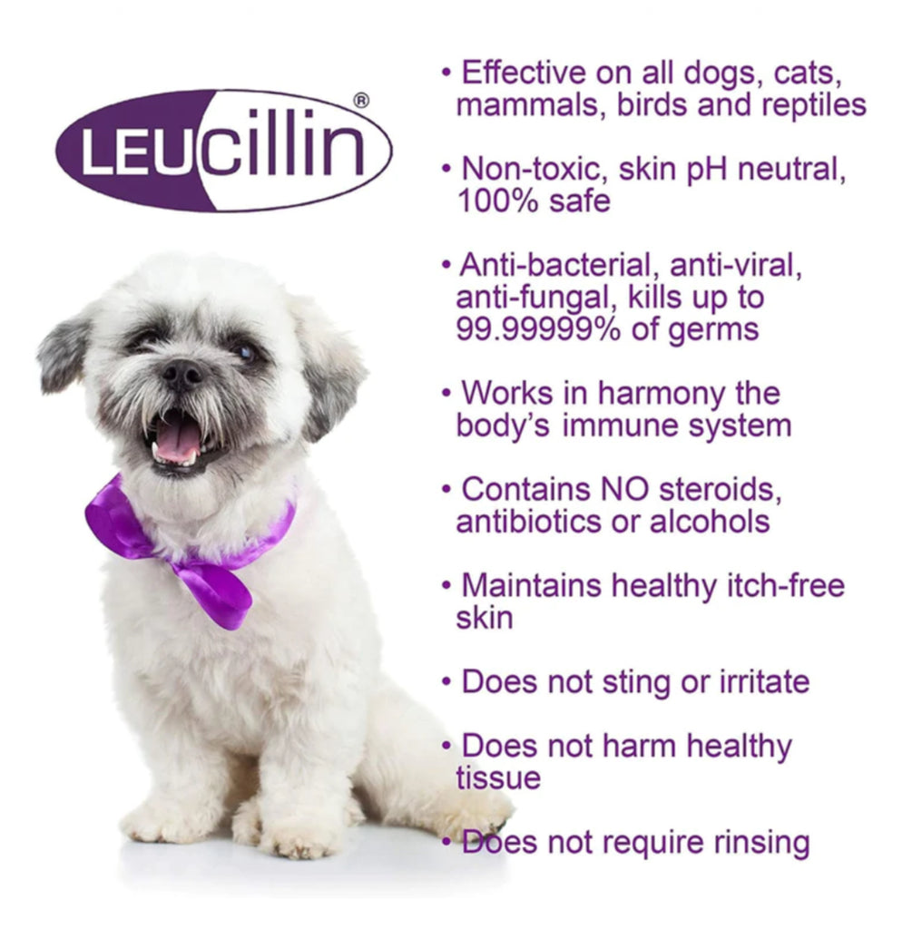 Leucillin - Antiseptic Skin Care for all animals