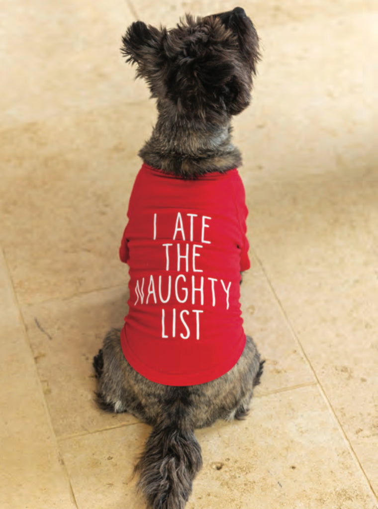 I ate the naughty list - Tee shirt