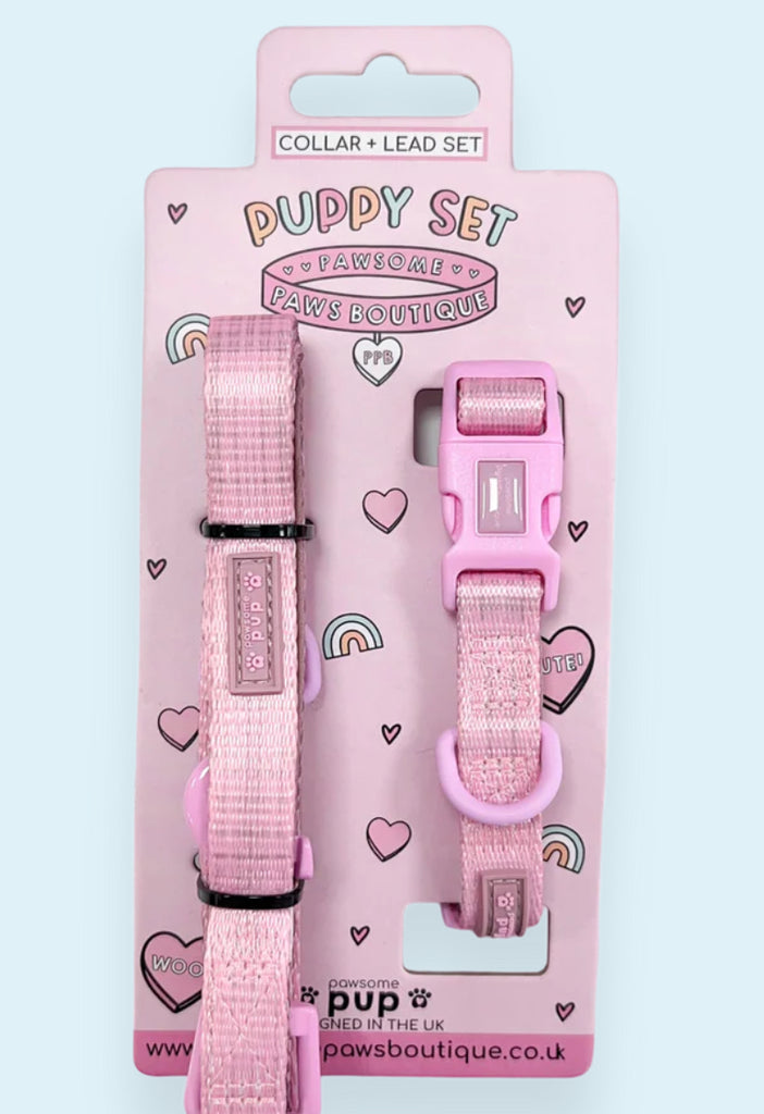 Puppy Collar & Lead Set - Pawsome Paws Boutique