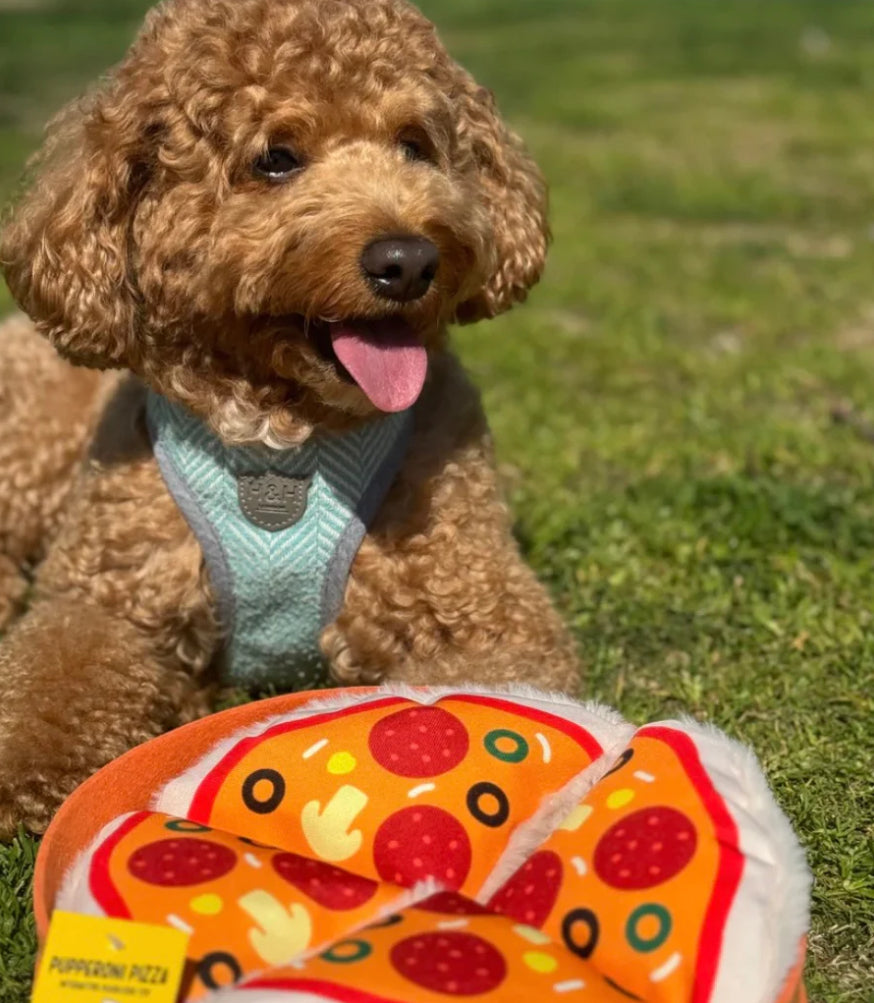 Pupperoni Pizza Interactive Toy
