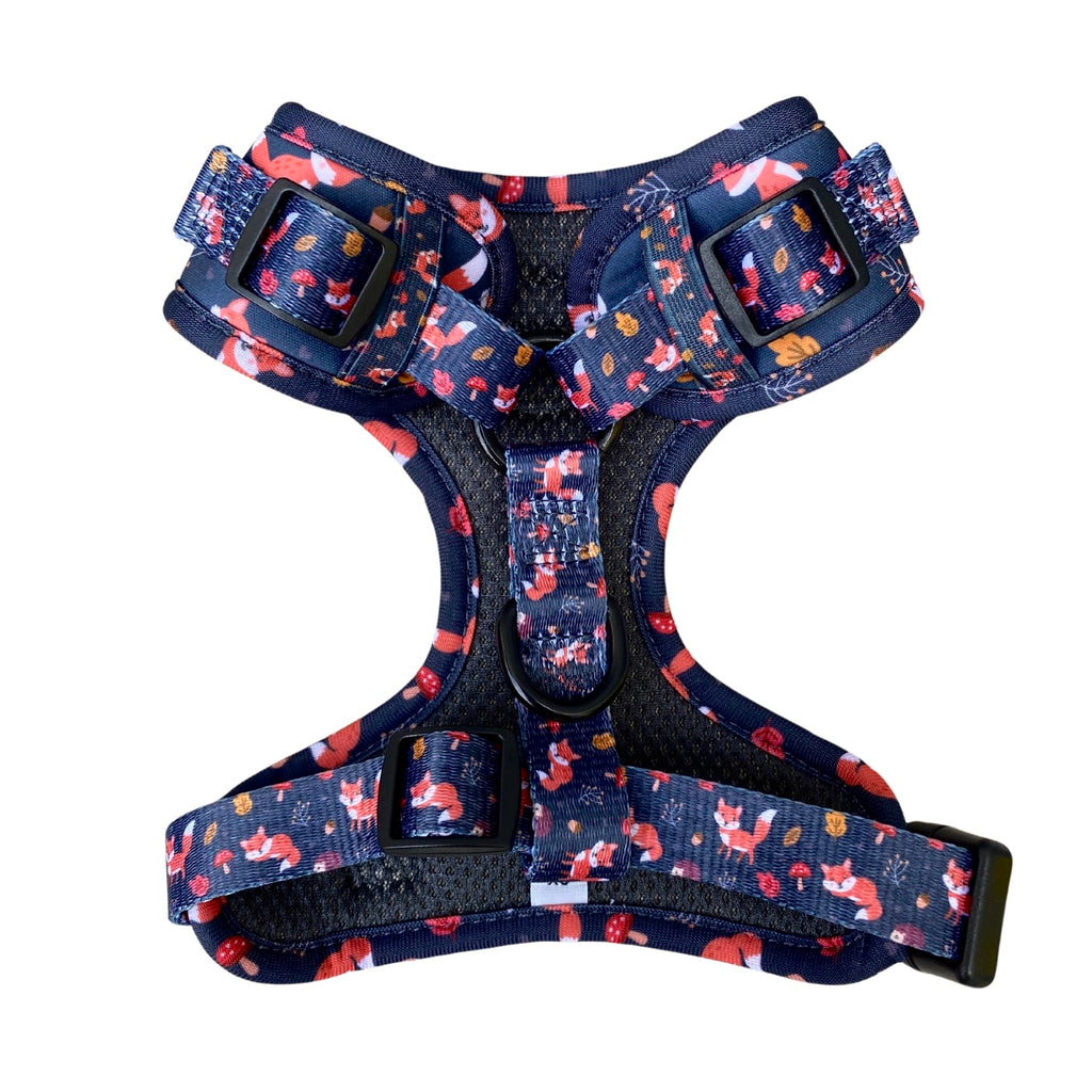 Murphy & Bailey Adjustable Harness - Let’s get foxy!